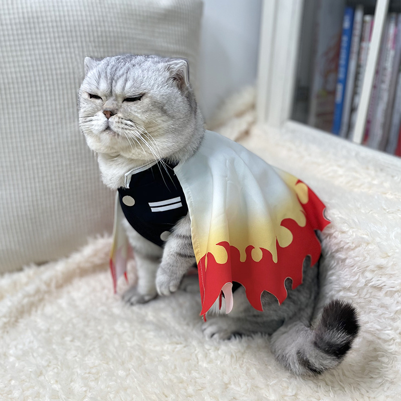 Demon Slayer Pet Cosplay Rengo - Cosplay Flame Prop 评论和价格